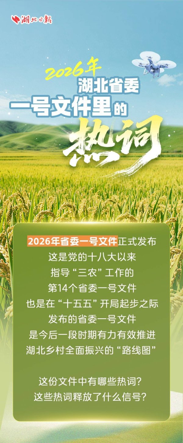 2026年湖北省委一号文件里的热词