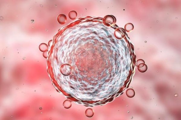 科学家揭示让血液干细胞变老的“幕后黑手”，藏在线粒体里