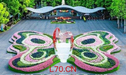 上海办睡觉比赛 第一名奖金3000 躺着赚钱引发热议
