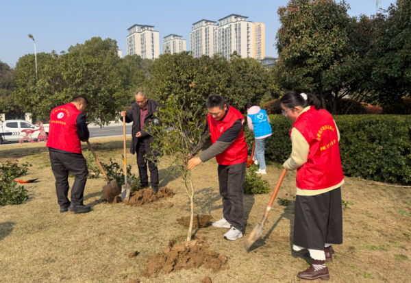 植树节当天，合肥庐阳居民认养“一棵树”