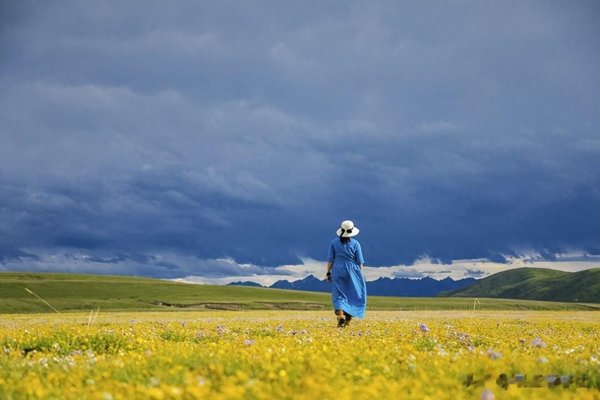 你以为中年女人难追, 其实她更容易被这三点打动