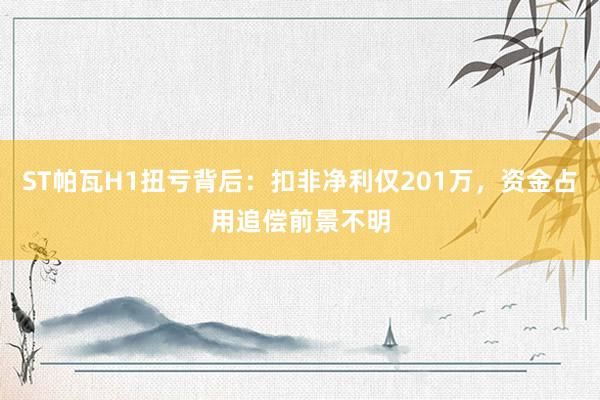 ST帕瓦H1扭亏背后：扣非净利仅201万，资金占用追偿前景不明