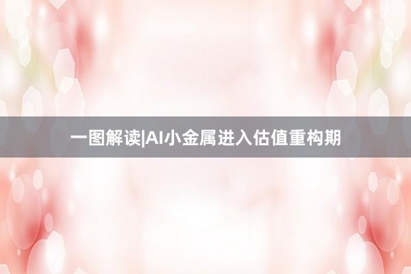 一图解读|AI小金属进入估值重构期