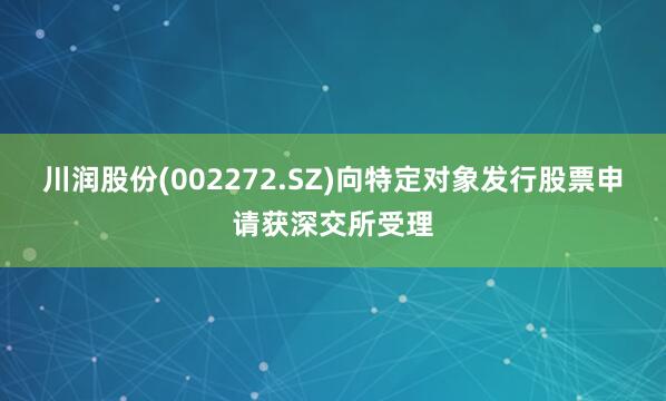 川润股份(002272.SZ)向特定对象发行股票申请获深交所受理