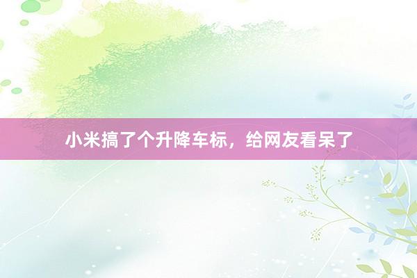 小米搞了个升降车标，给网友看呆了