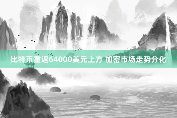 比特币重返64000美元上方 加密市场走势分化