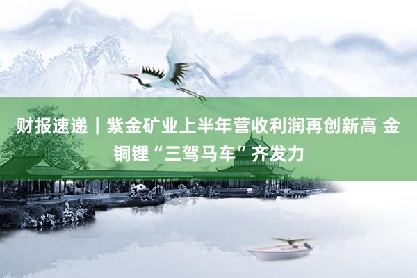财报速递｜紫金矿业上半年营收利润再创新高 金铜锂“三驾马车”齐发力