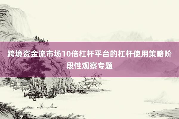 跨境资金流市场10倍杠杆平台的杠杆使用策略阶段性观察专题