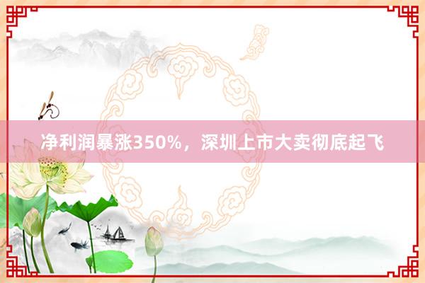 净利润暴涨350%，深圳上市大卖彻底起飞