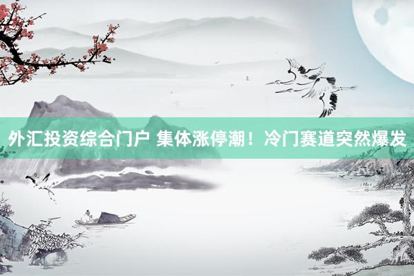 外汇投资综合门户 集体涨停潮！冷门赛道突然爆发
