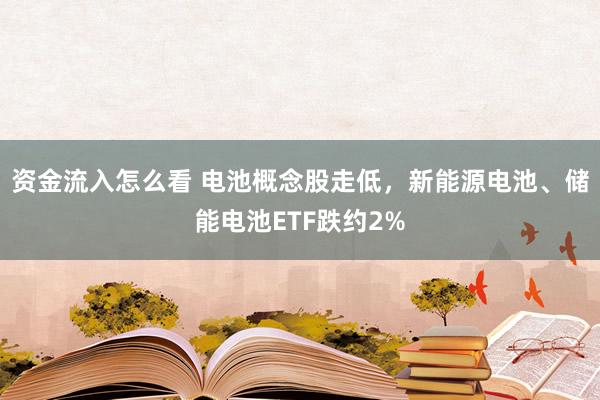 资金流入怎么看 电池概念股走低，新能源电池、储能电池ETF跌约2%