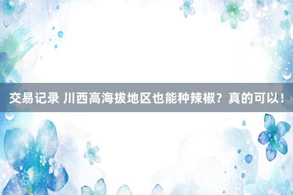 交易记录 川西高海拔地区也能种辣椒？真的可以！