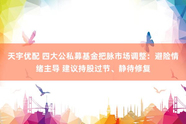 天宇优配 四大公私募基金把脉市场调整：避险情绪主导 建议持股过节、静待修复