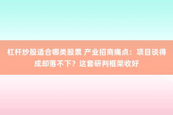 杠杆炒股适合哪类股票 产业招商痛点：项目谈得成却落不下？这套研判框架收好