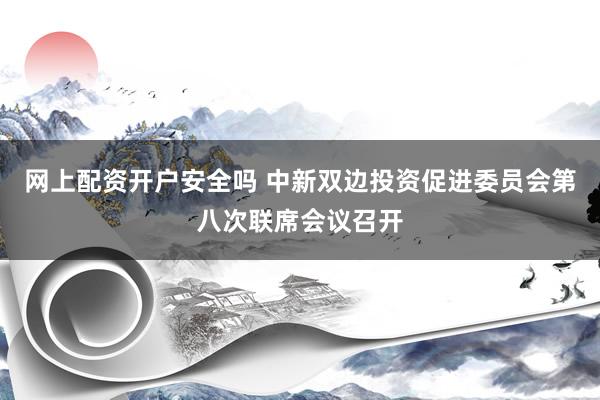 网上配资开户安全吗 中新双边投资促进委员会第八次联席会议召开
