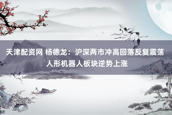 天津配资网 杨德龙：沪深两市冲高回落反复震荡  人形机器人板块逆势上涨