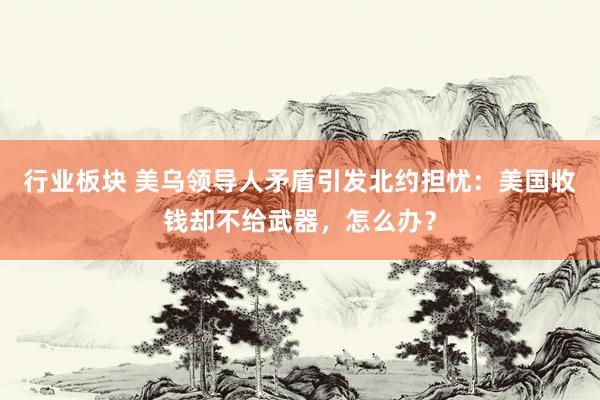 行业板块 美乌领导人矛盾引发北约担忧：美国收钱却不给武器，怎么办？